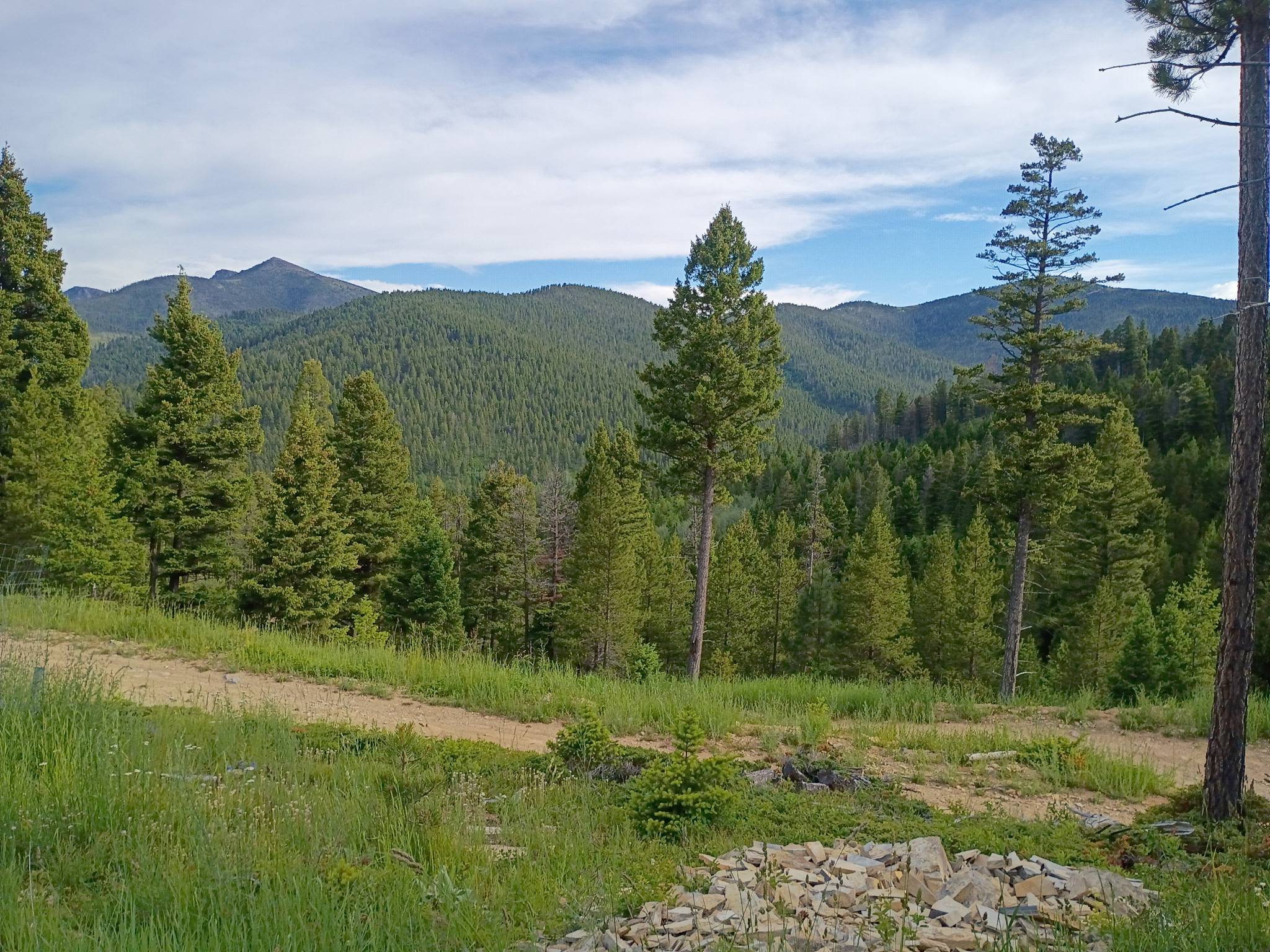 Lot 68 Elk Meadows — photo