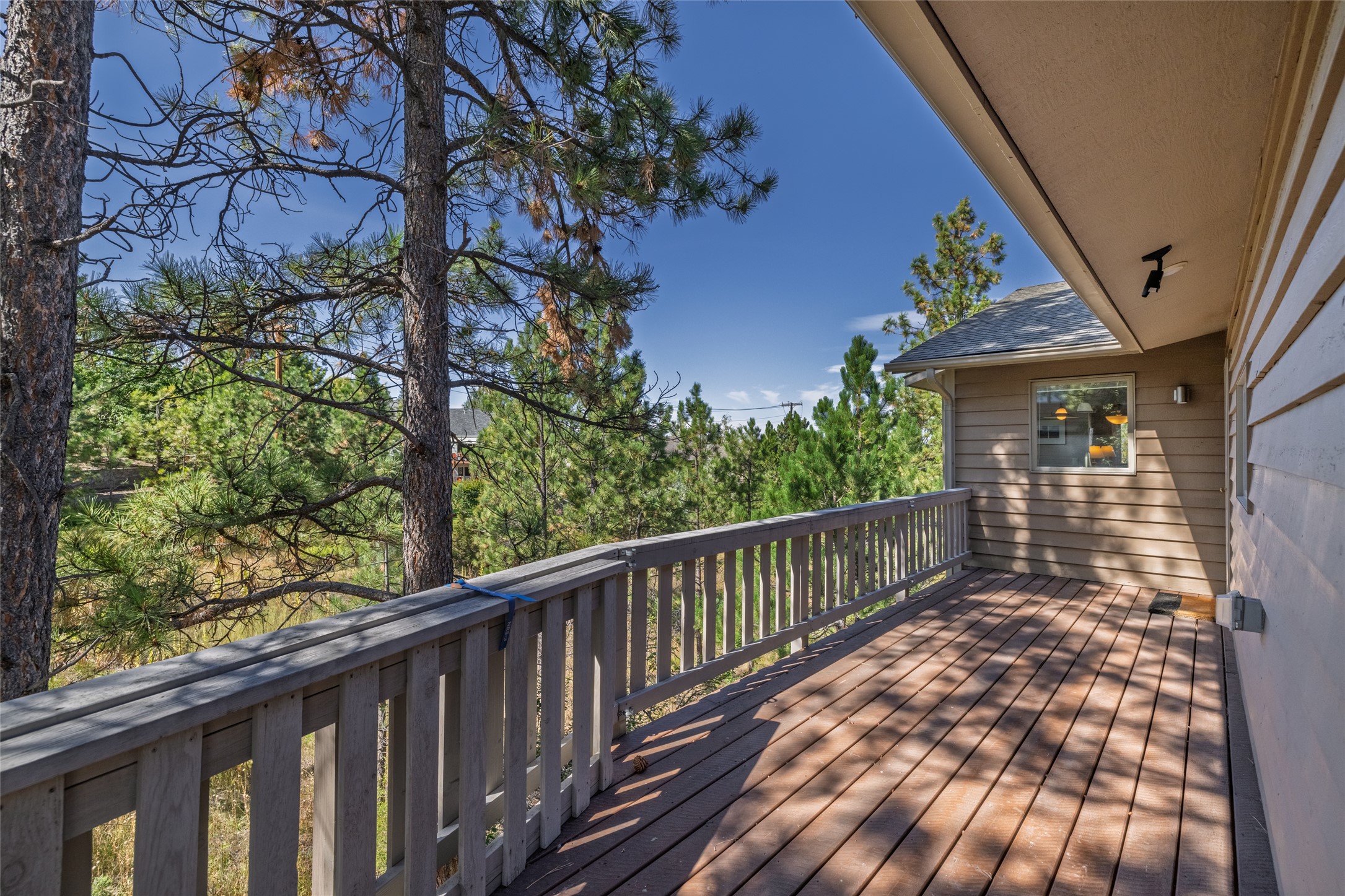 1019 Woodbridge Street — photo