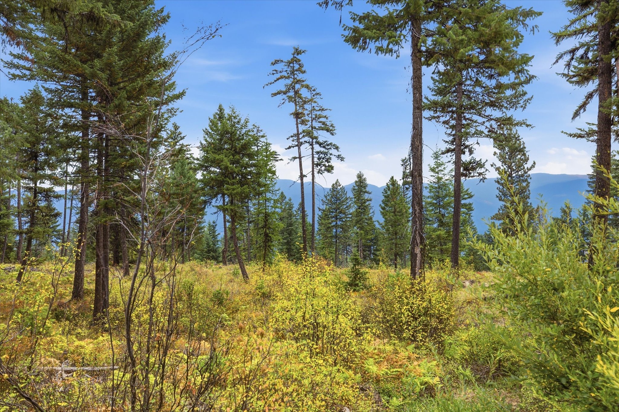 1401 Panoramic View Drive, Libby, MT 59923 — photo 2