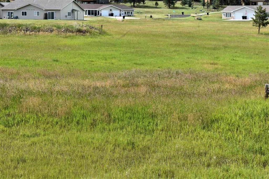 TBD Corral Drive, Custer, SD 57730 — photo 3