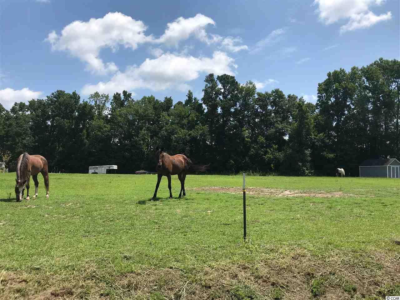 TBD Juniper Bay Rd., Conway, SC 29527