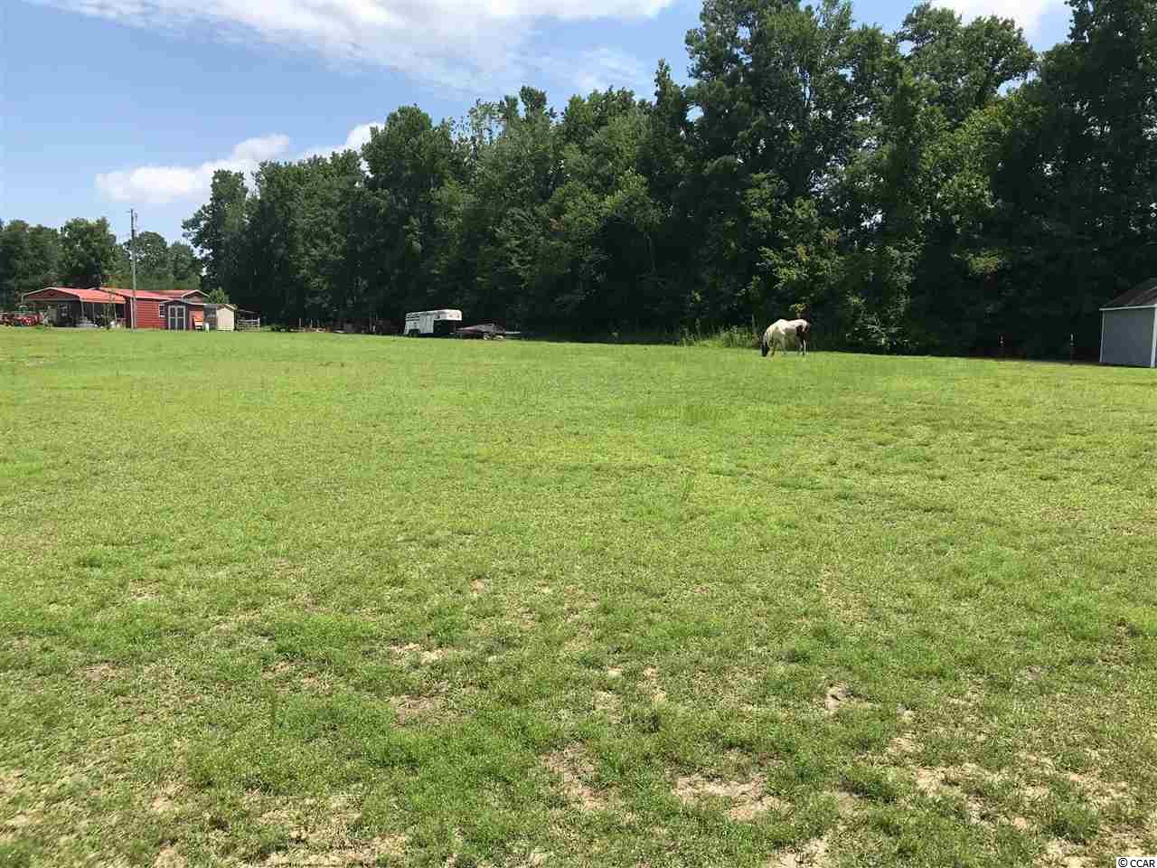 TBD Juniper Bay Rd., Conway, SC 29527 — photo 2