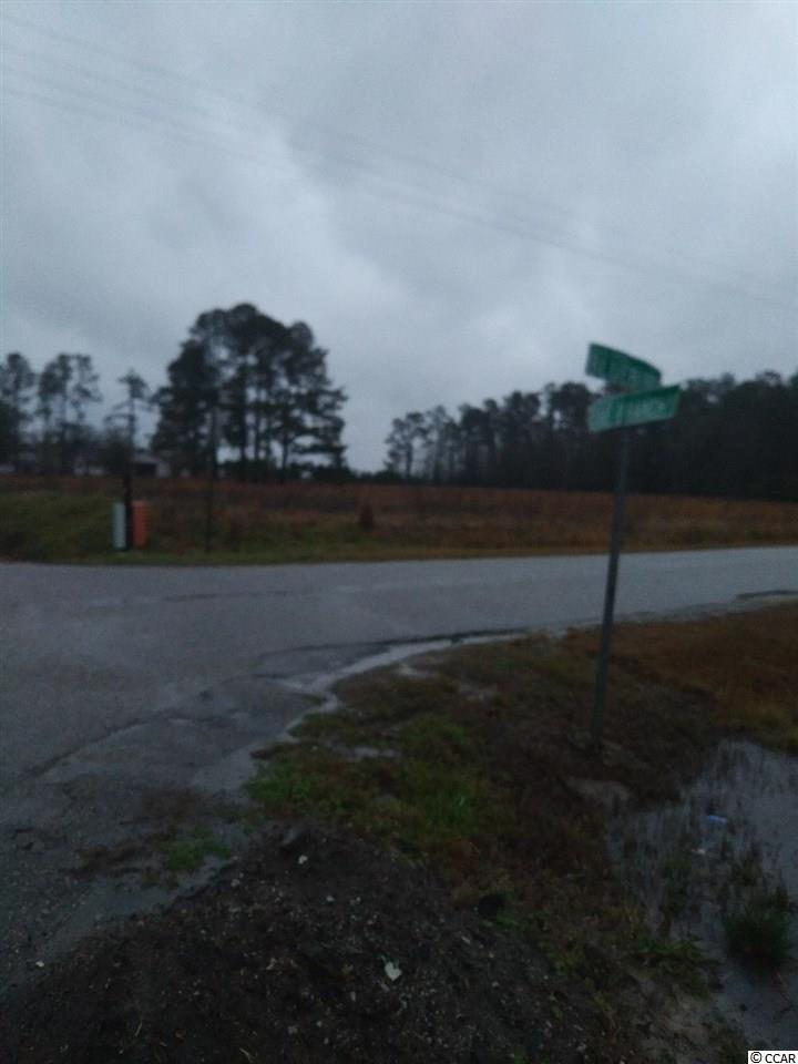 1733 Cane Branch Road, Loris, SC 29569