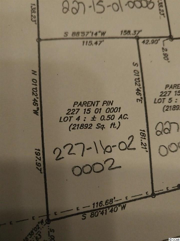 1733 Cane Branch Road, Loris, SC 29569 — photo 3