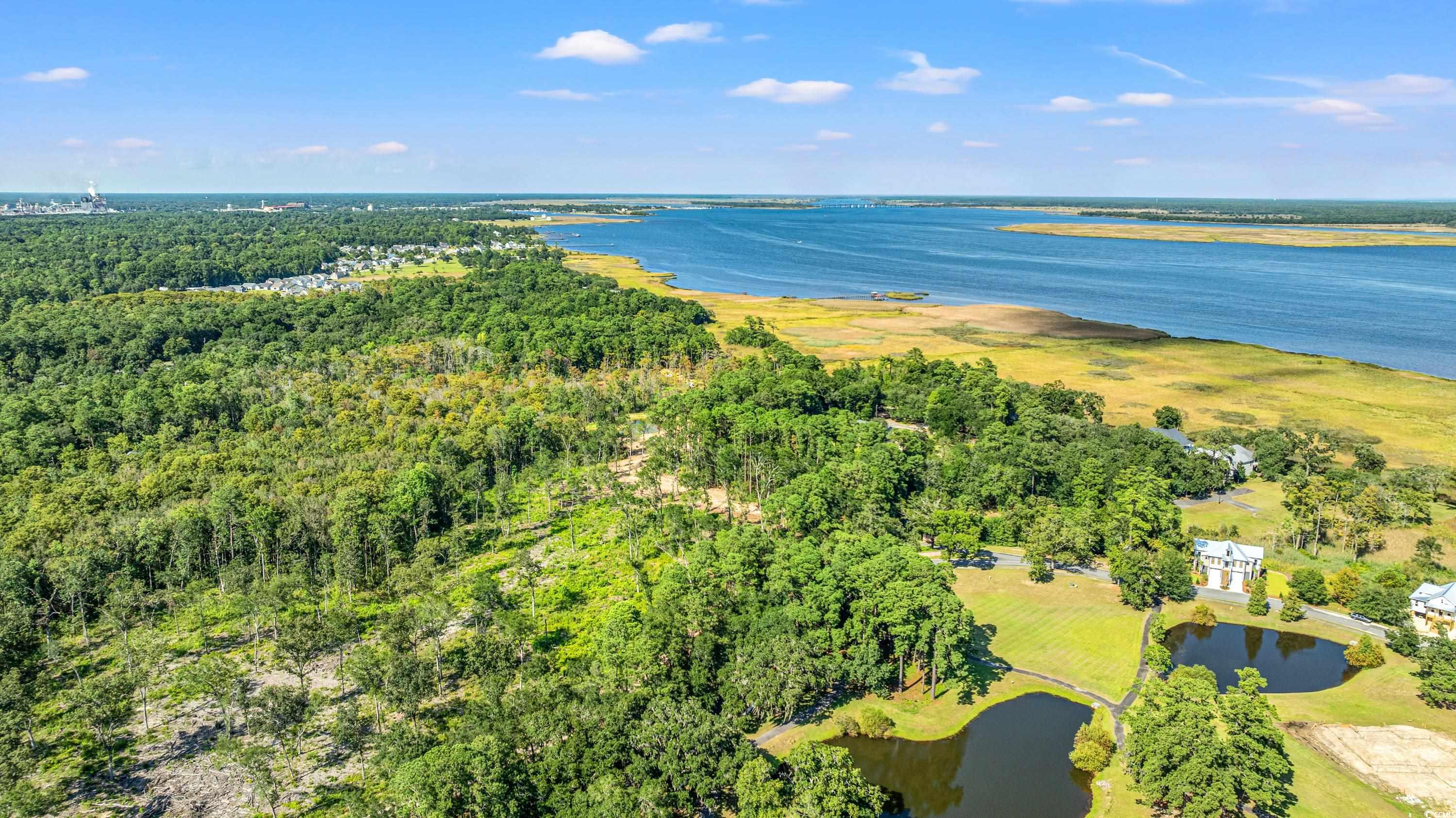 3680 S Island Road, Georgetown, SC 29440 — photo 3