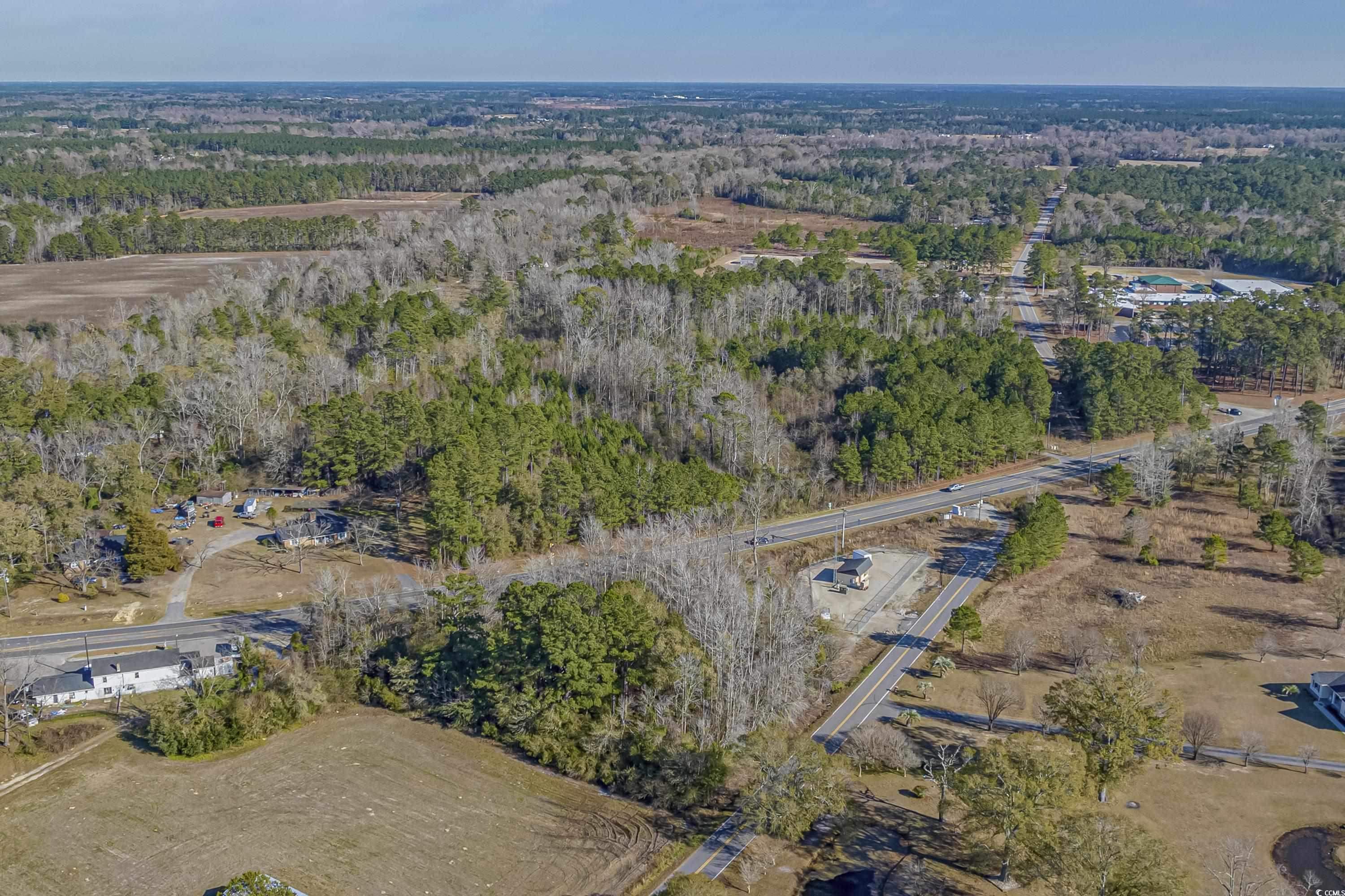 TBD Red Bluff Rd., Loris, SC 29569