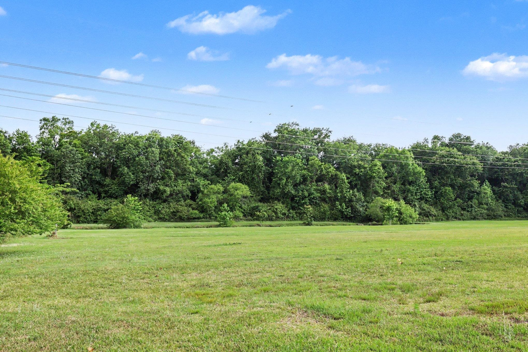 TBD Four Mile Rd., Conway, SC 29526 — photo 2