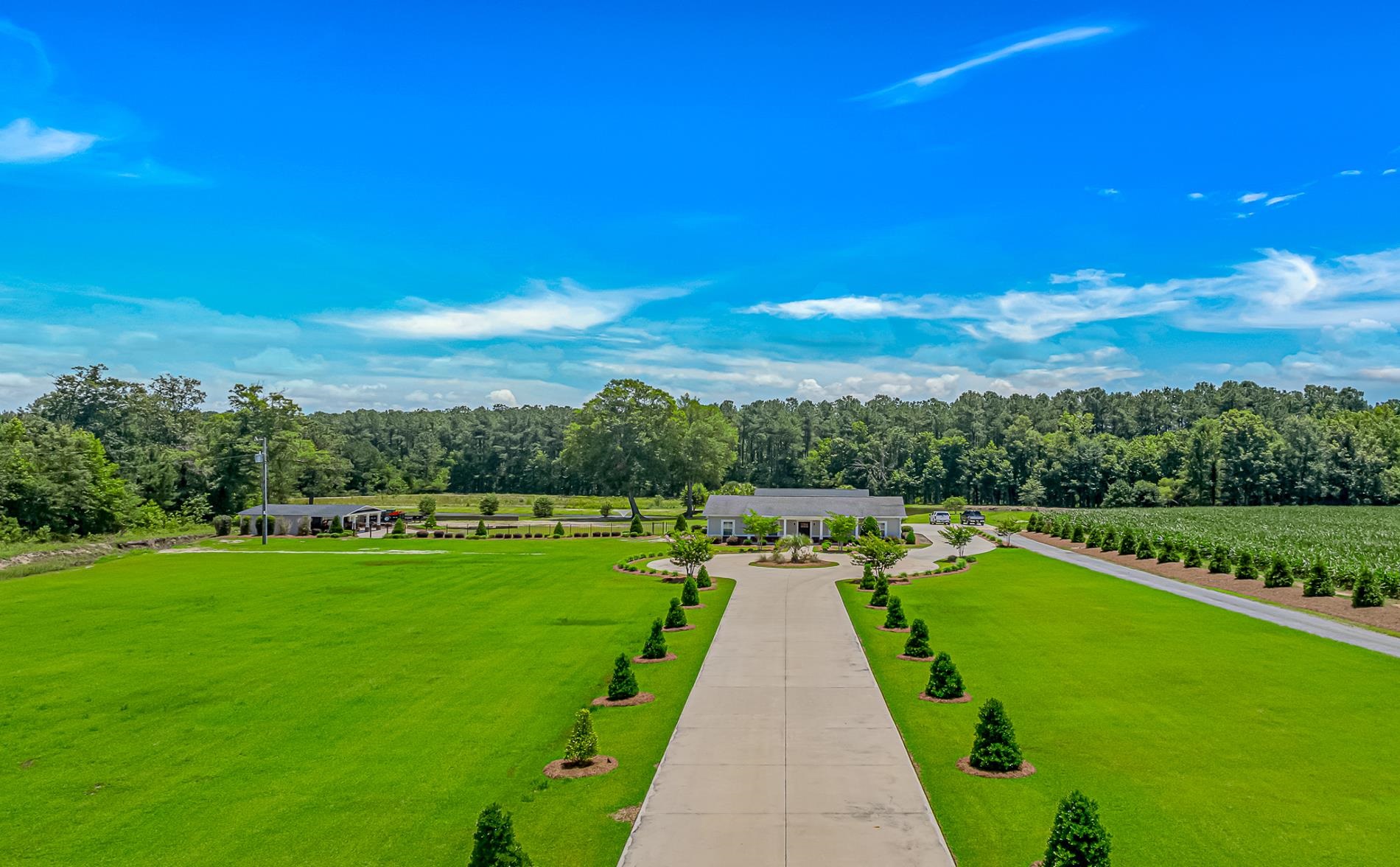 15810 County Line Road, Andrews, SC 29510 — photo 2