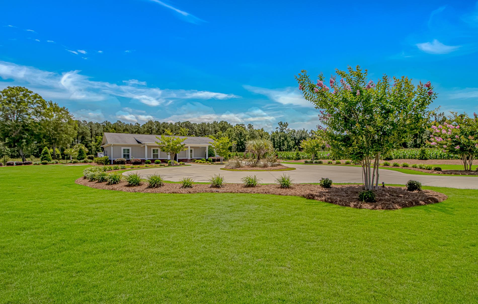 15810 County Line Road, Andrews, SC 29510 — photo 3