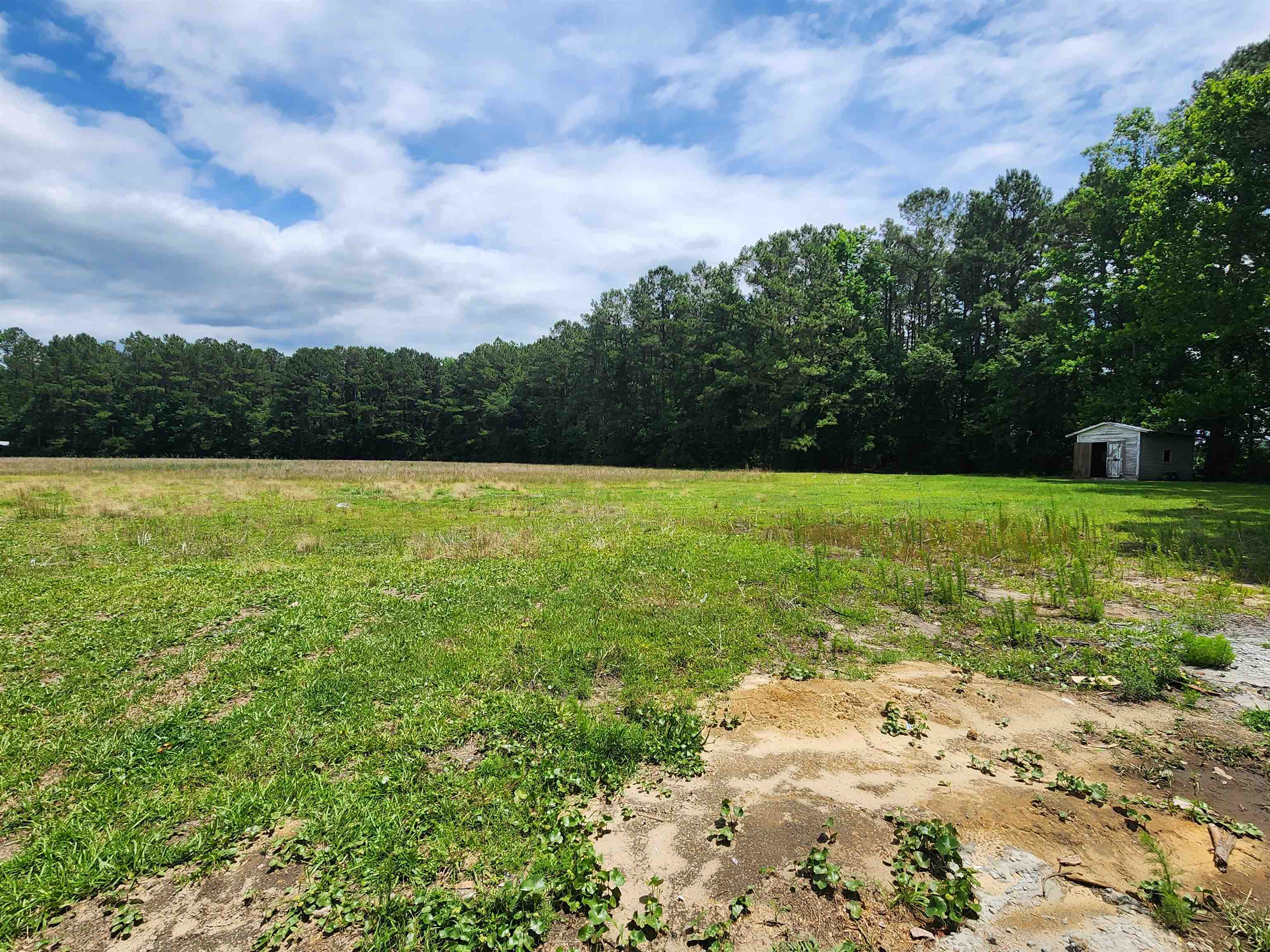 190 Sunshine Road, Loris, SC 29569 — photo 3