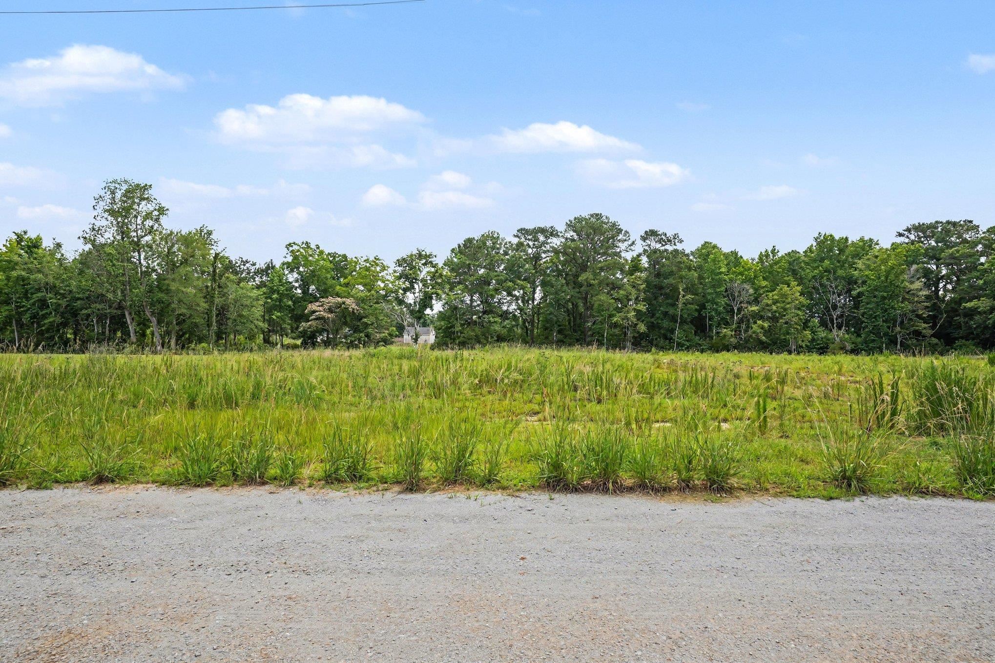 113 Rena Lane, Conway, SC 29527 — photo 2
