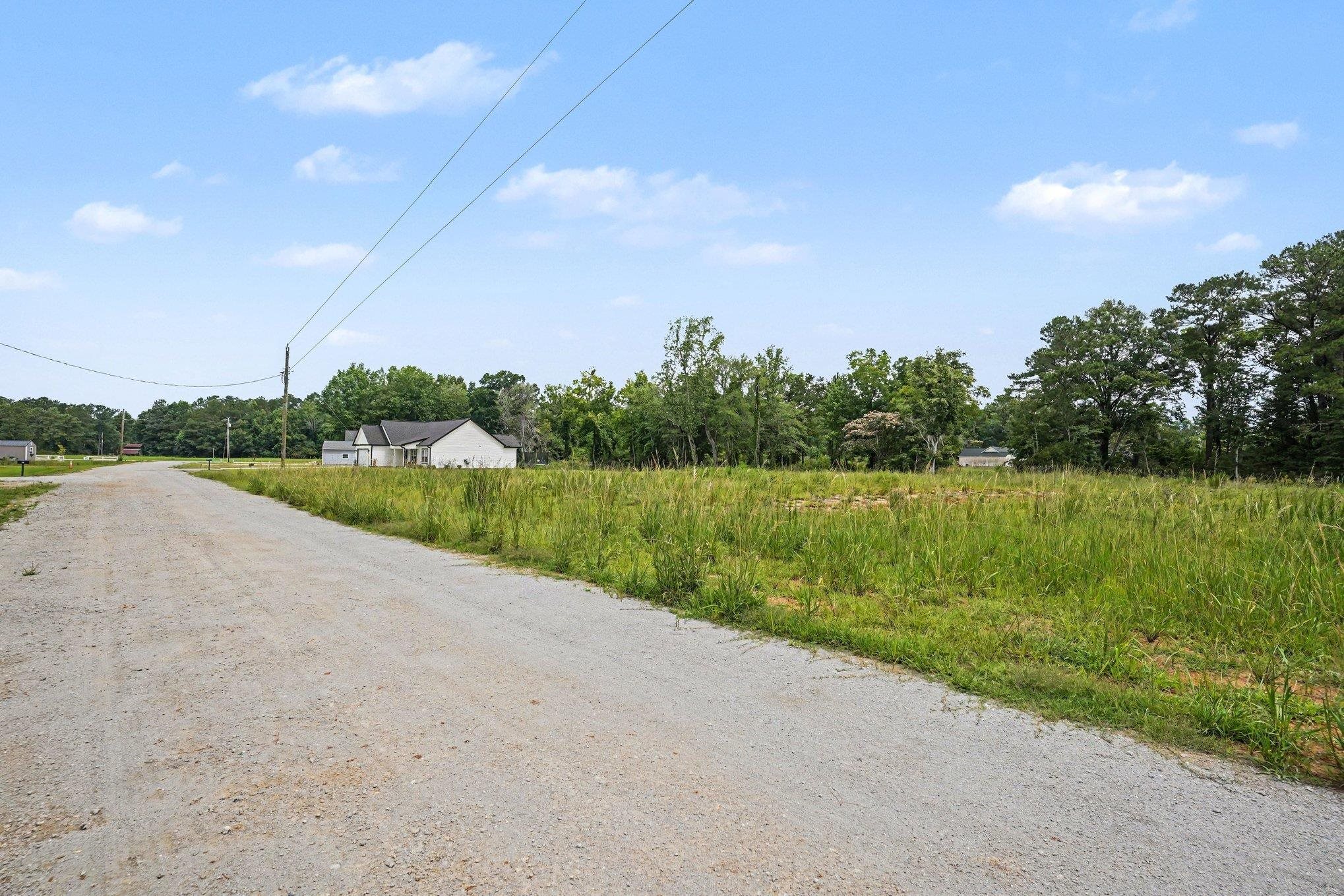 113 Rena Lane, Conway, SC 29527 — photo 3
