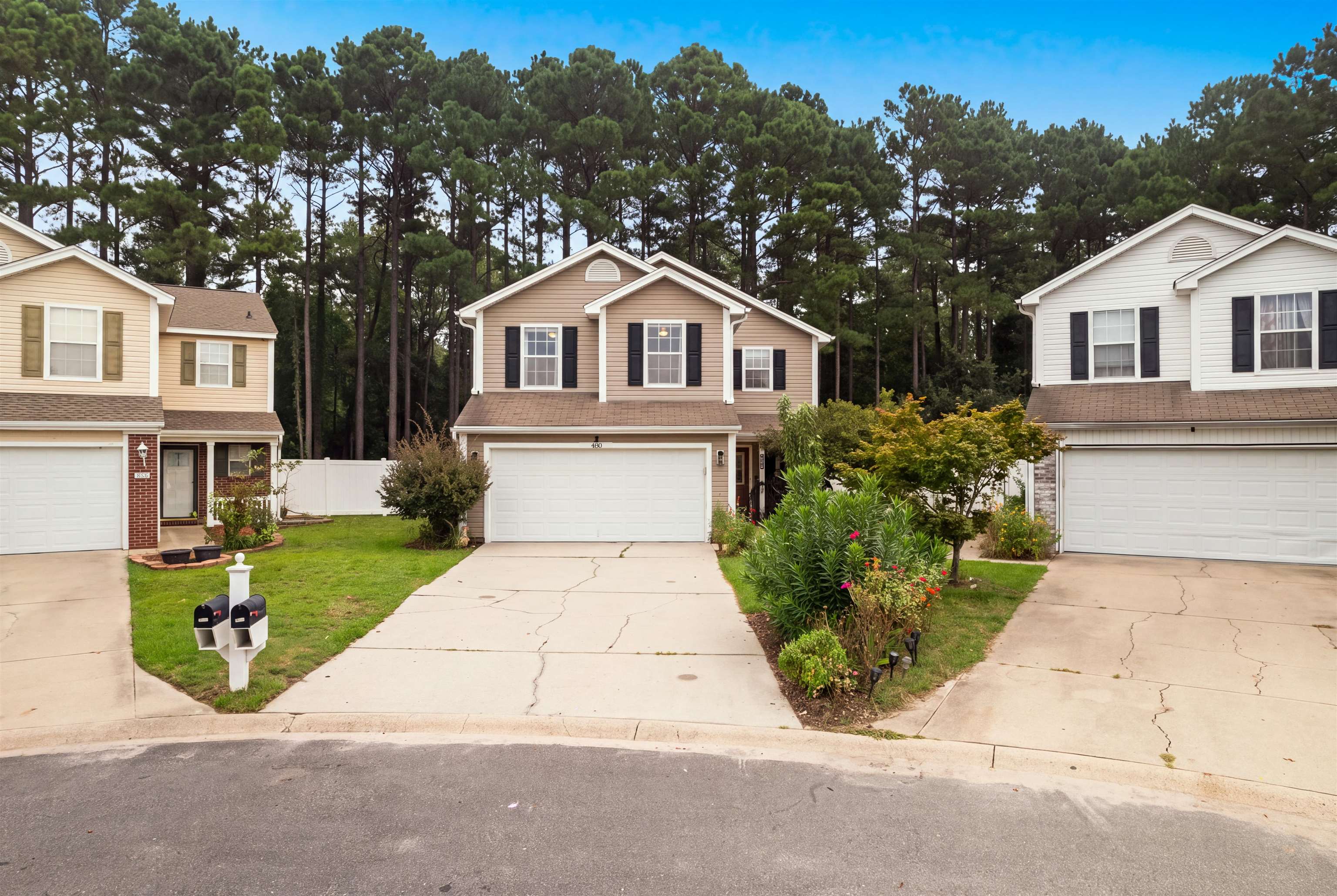 480 Dandalion Ln. — photo