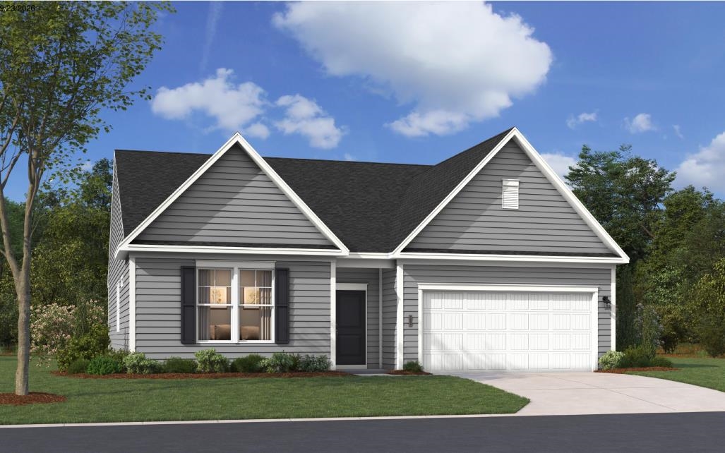 4Tbb River Birch Dr. — photo