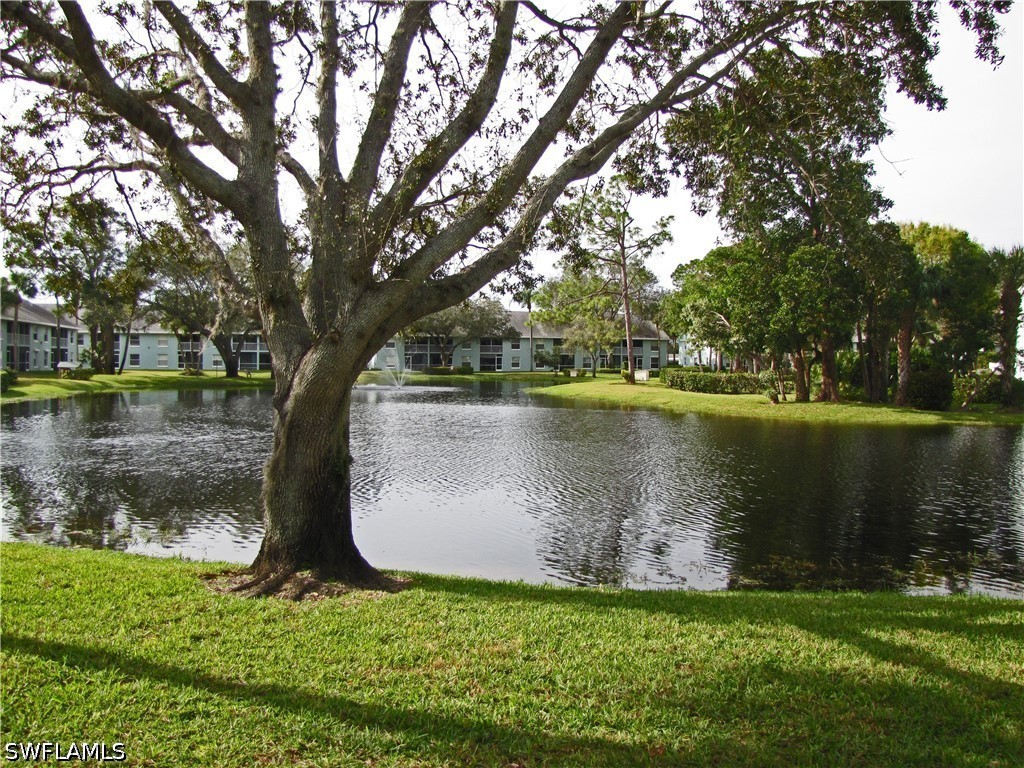 125 Wading Bird Cir 106 — photo