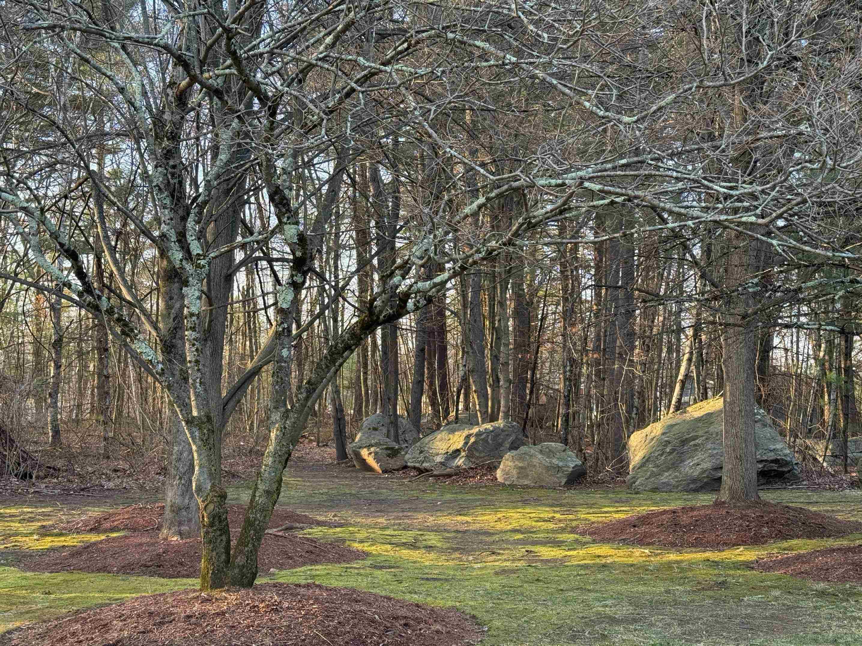 2 Maple Ridge Drive #29, Merrimack, NH 03054 — photo 3
