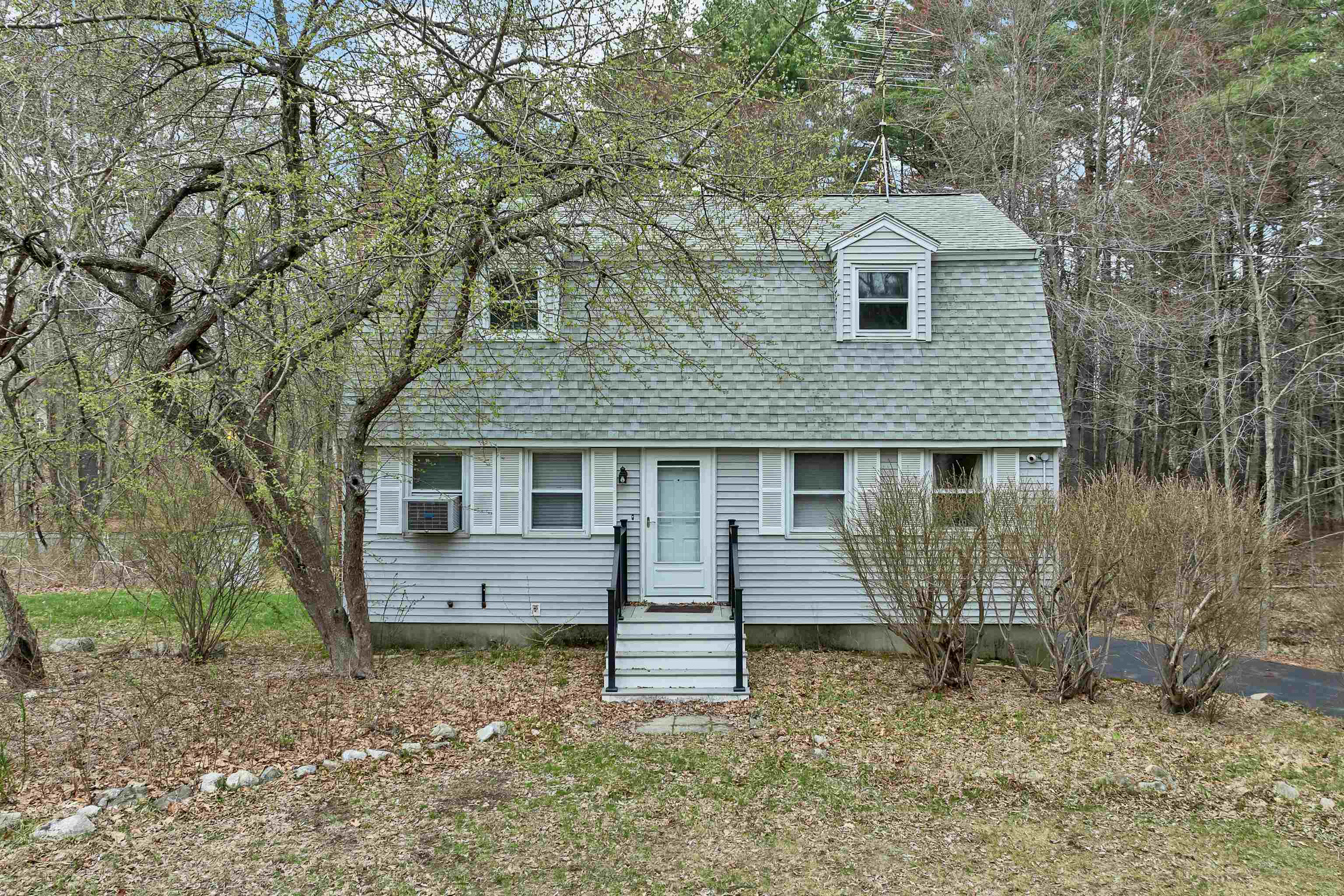 12 Blueberry Road — photo