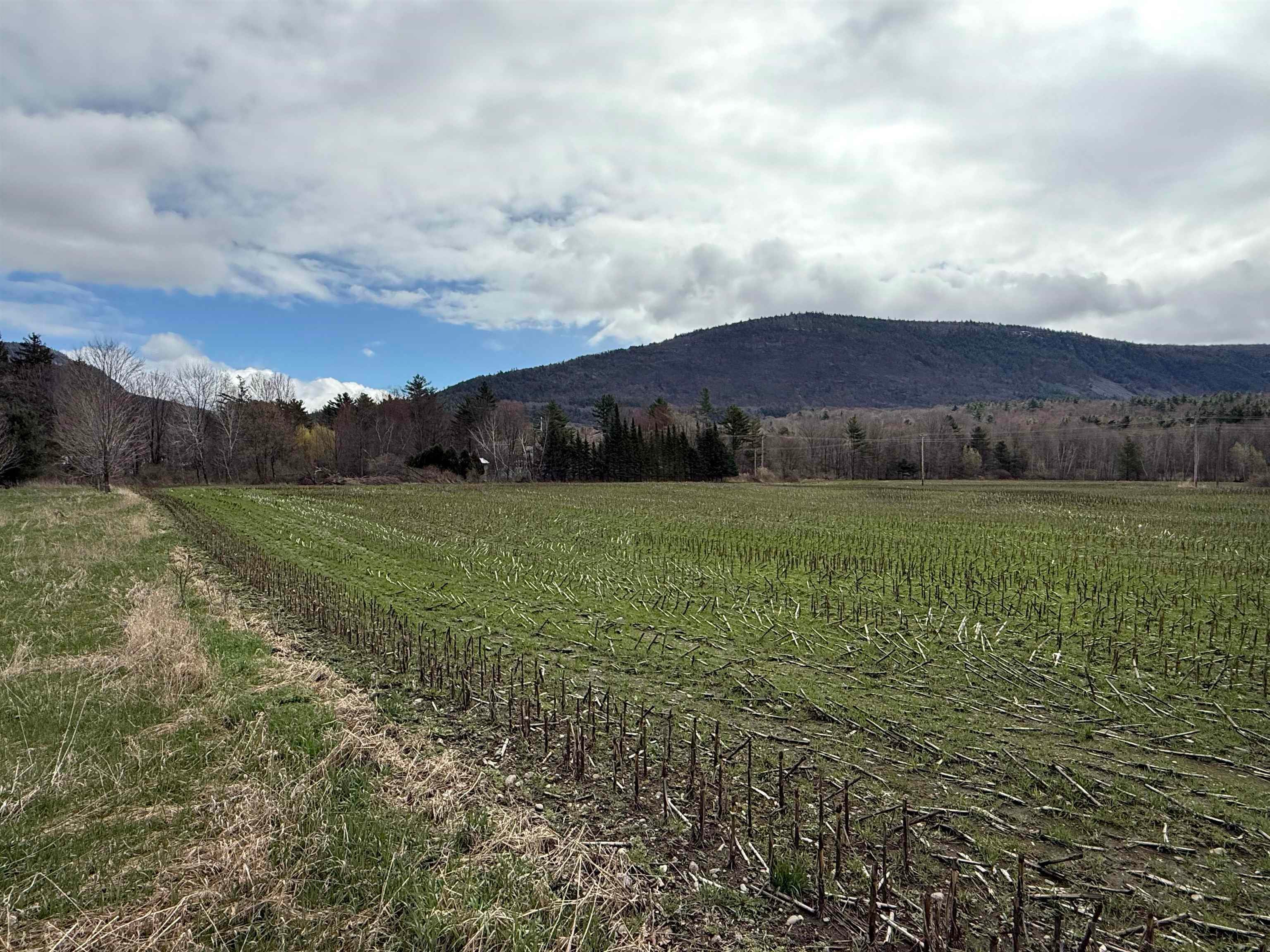 Tbd Hewitt Road — photo
