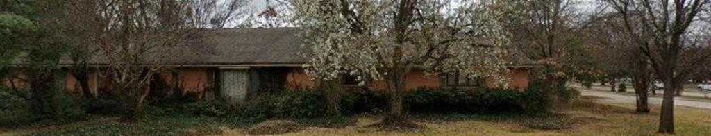 5208 Caladium Drive — photo