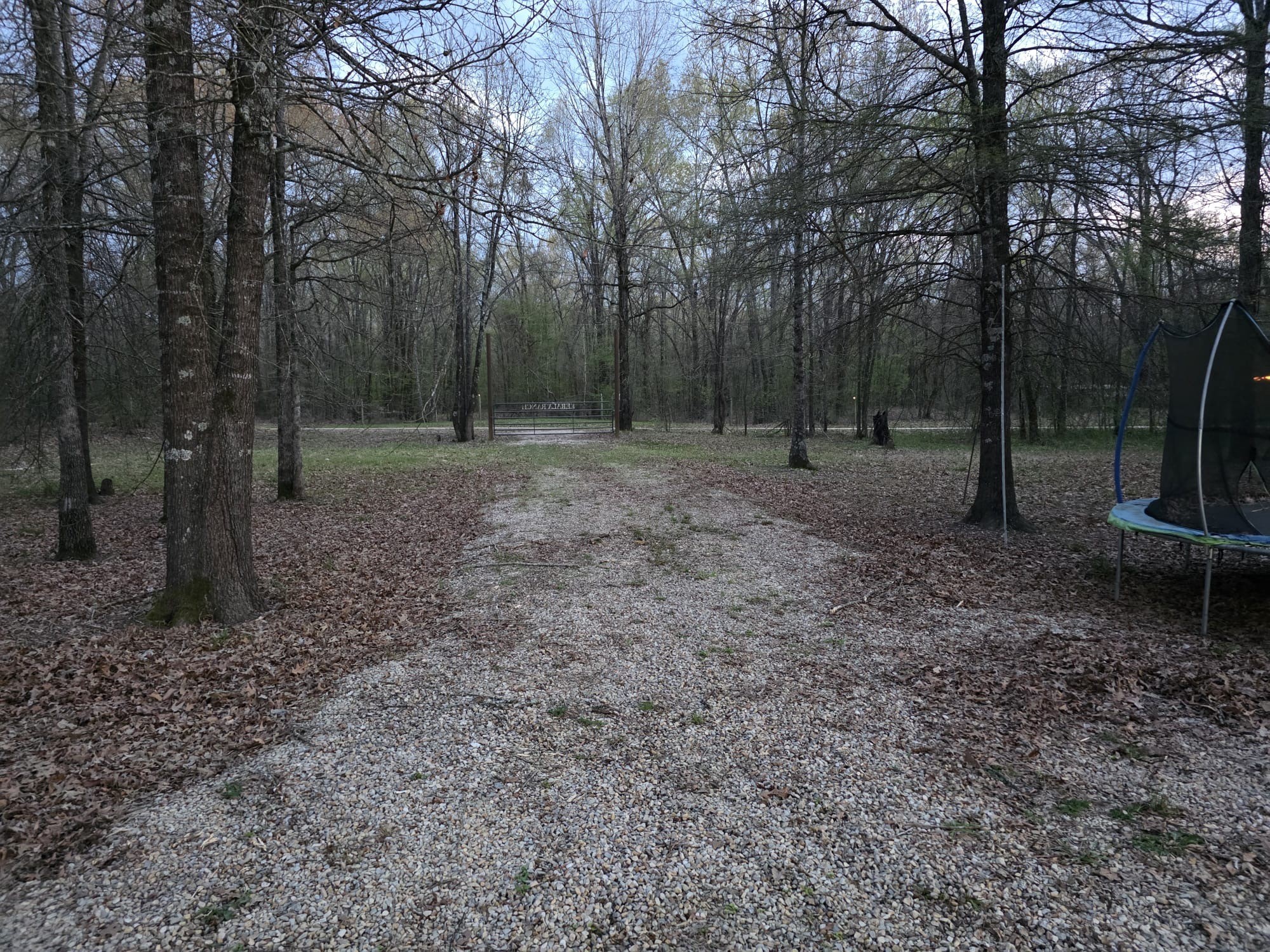 160 Zigler Road, Avery, TX 75554 — photo 3