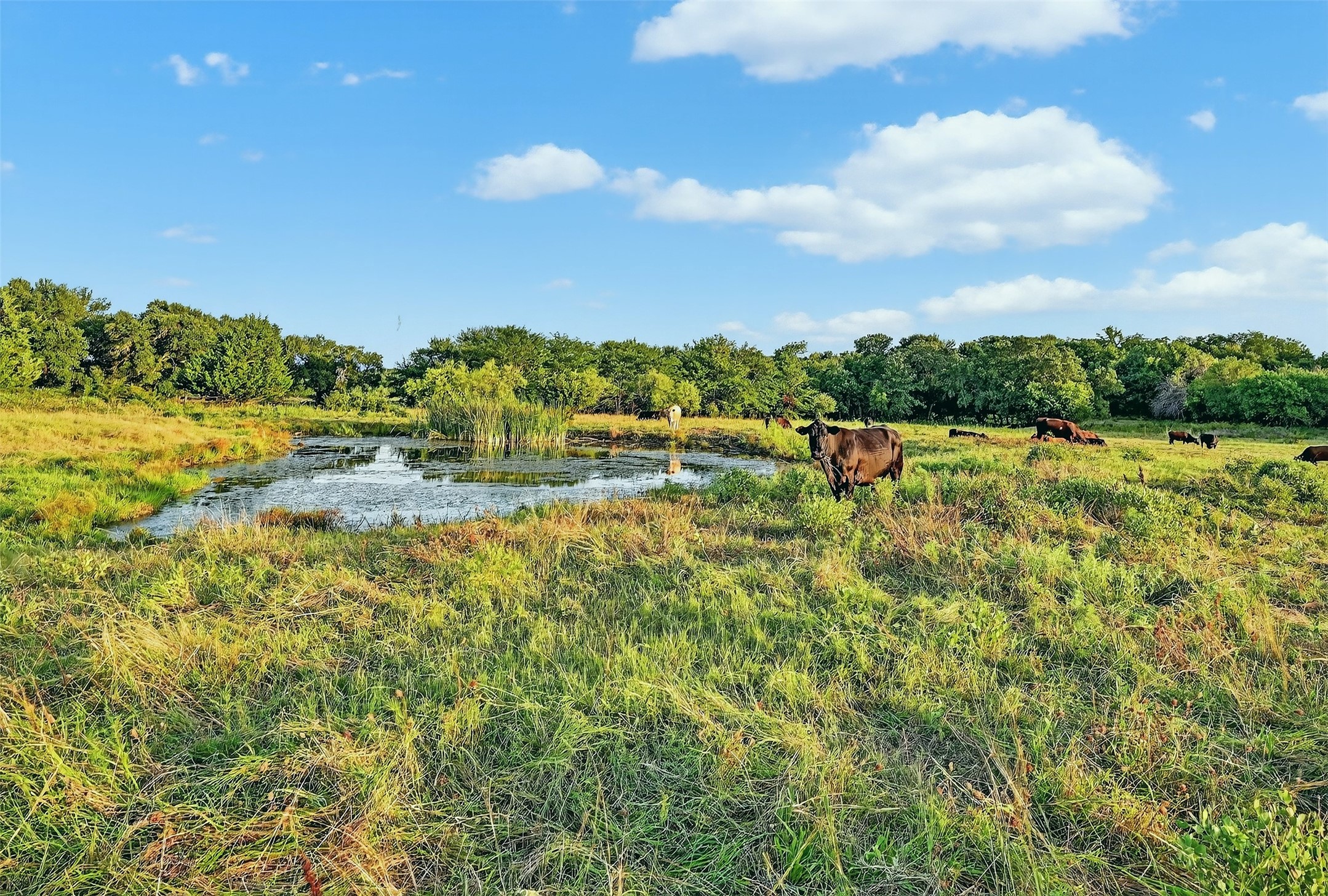 2340 Wright Road, Sherman, TX 75092 — photo 3