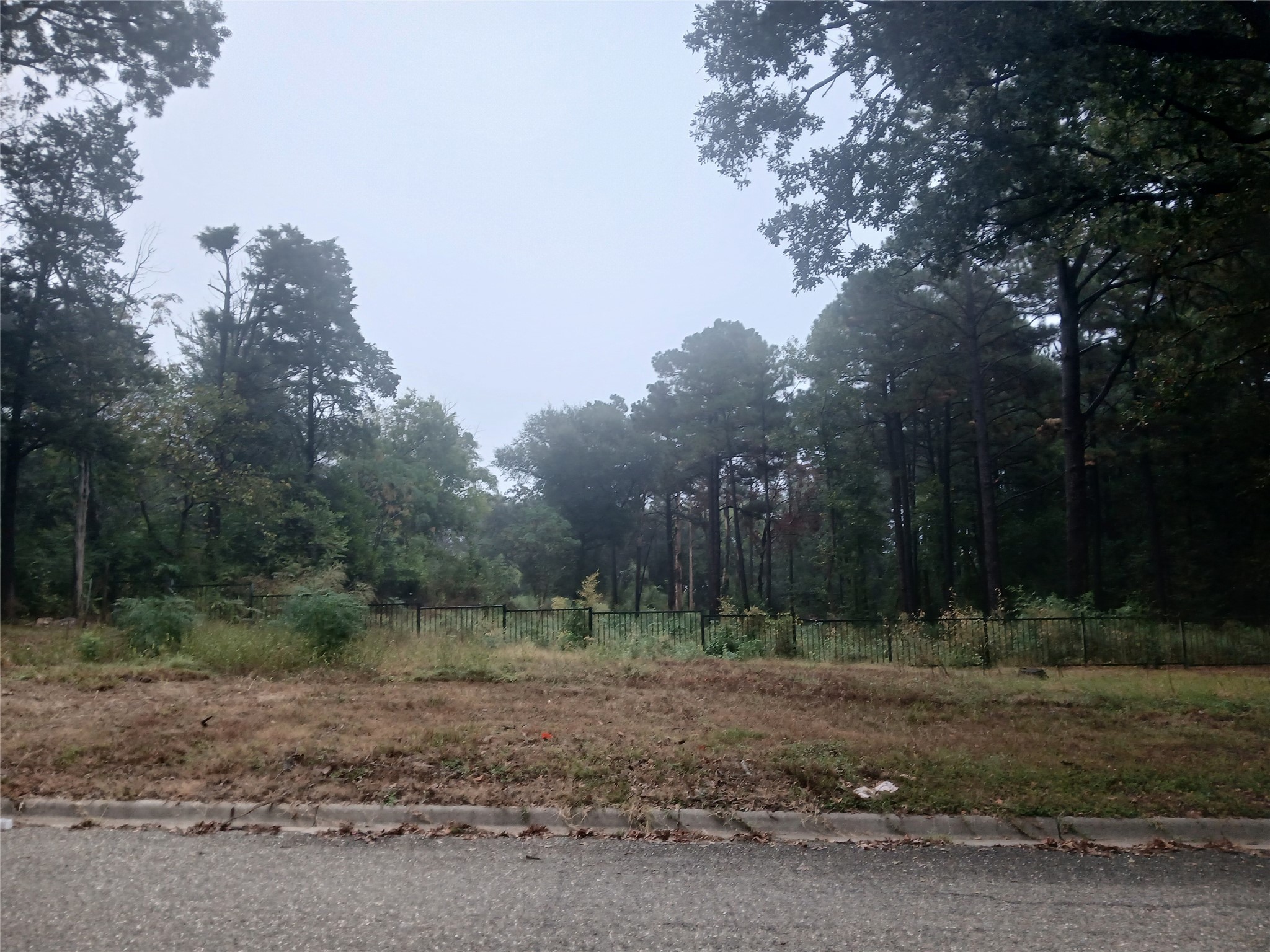 0 Mill Run Road, Athens, TX 75751