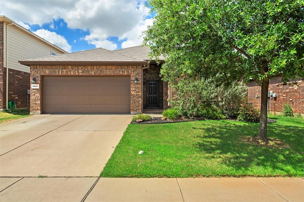 1037 Doe Meadow Drive — photo