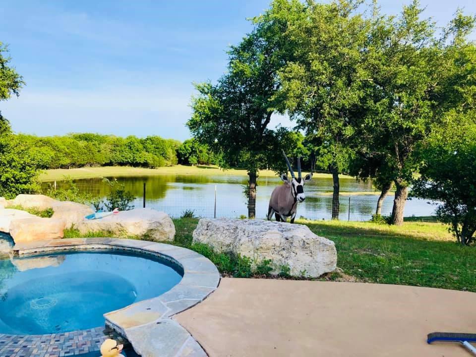 6101 County Road 208 — photo