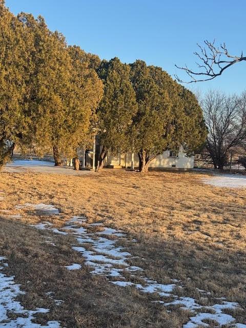 1601 Peterson Road S — photo
