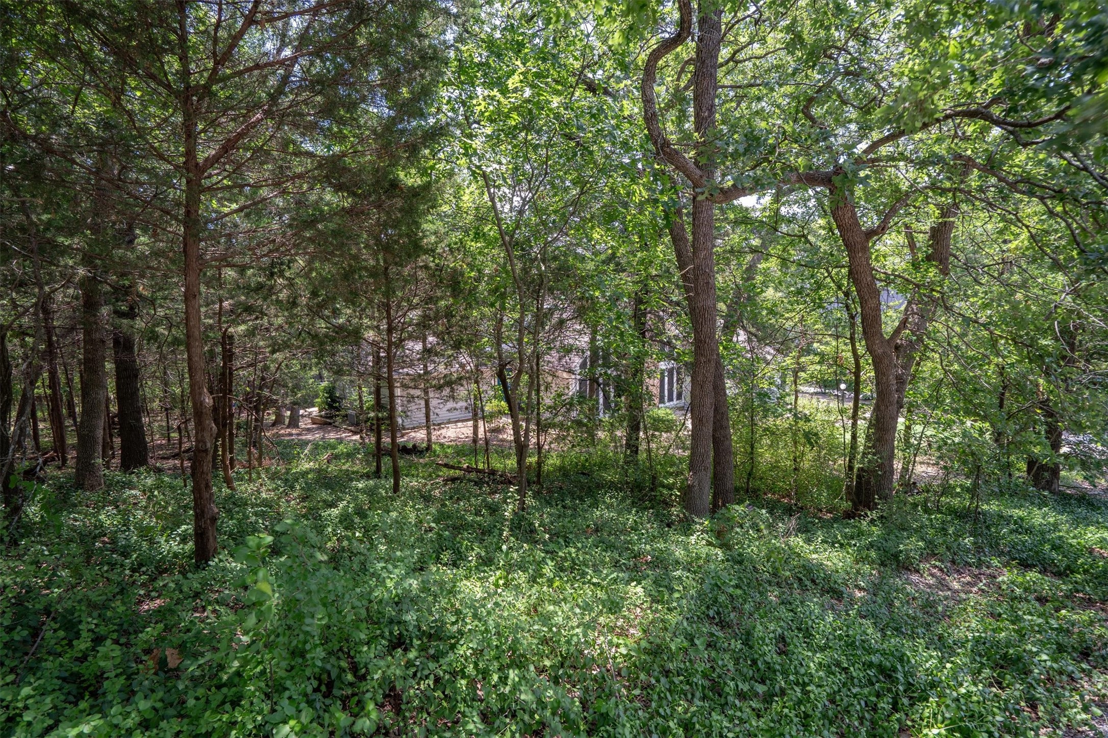 75 Lakepoint Loop, Pottsboro, TX 75076 — photo 3