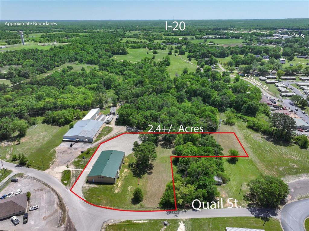 300 Quail — photo