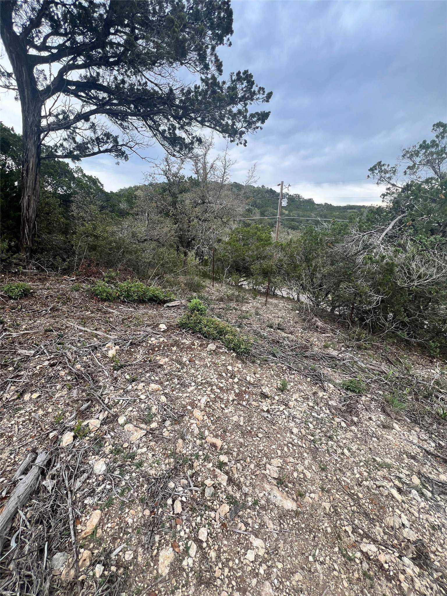 Tbd Tyler Trail — photo