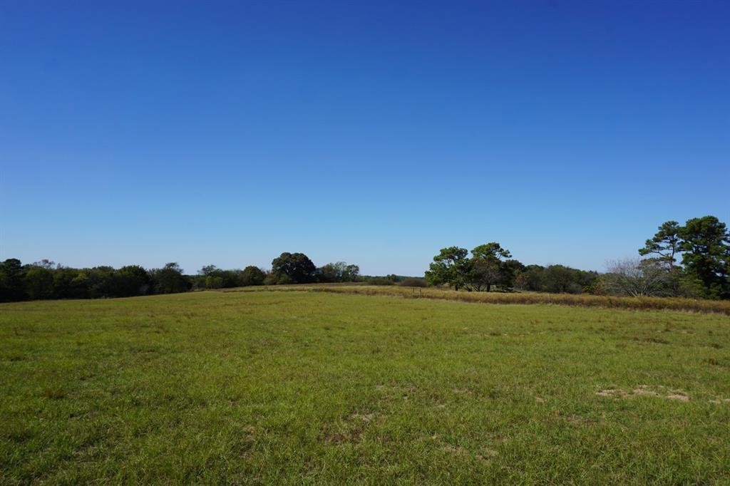 Cr4301 Plainview Road — photo