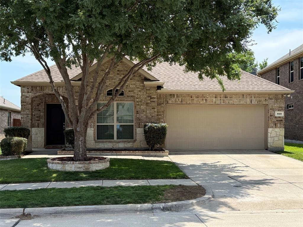 313 Cherry Spring Drive — photo