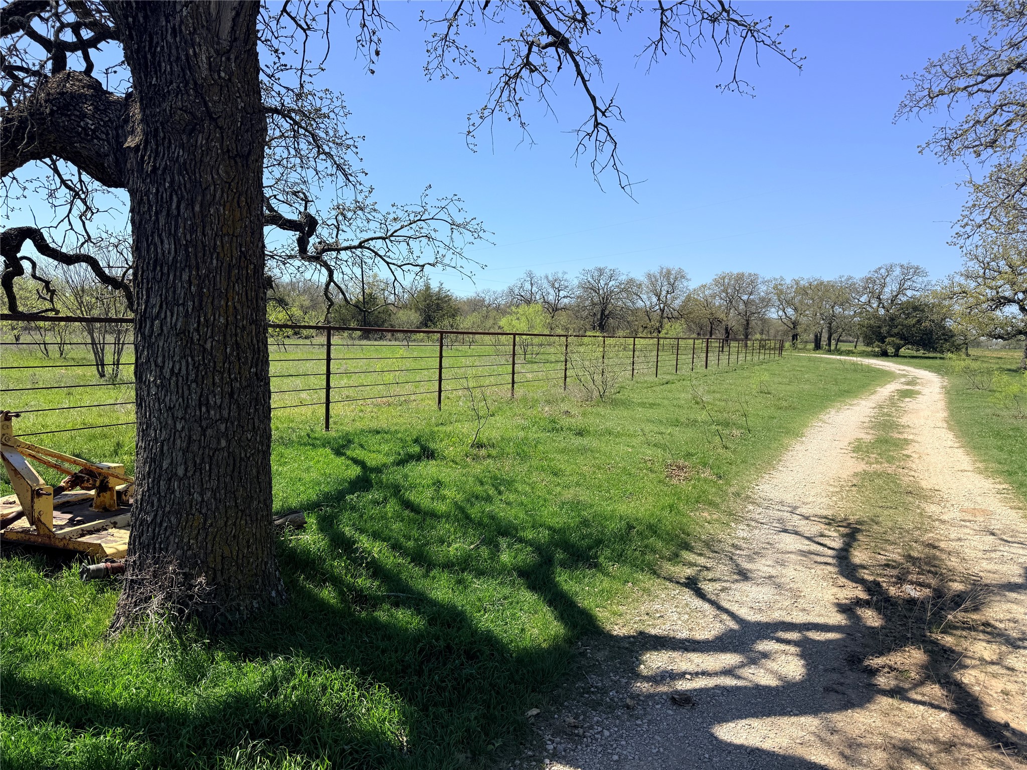421 Erwin, Jacksboro, TX 76458 — photo 2
