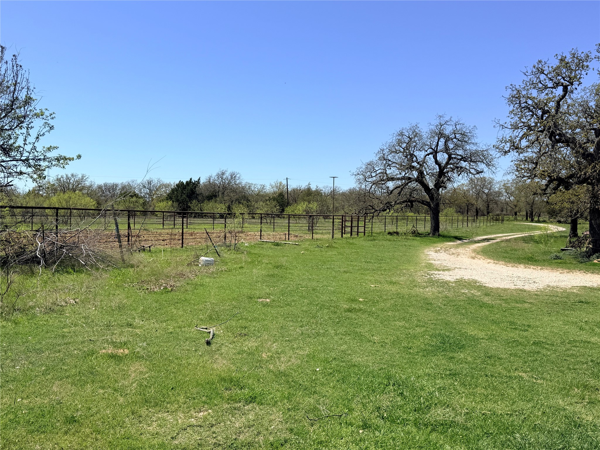 421 Erwin, Jacksboro, TX 76458 — photo 3