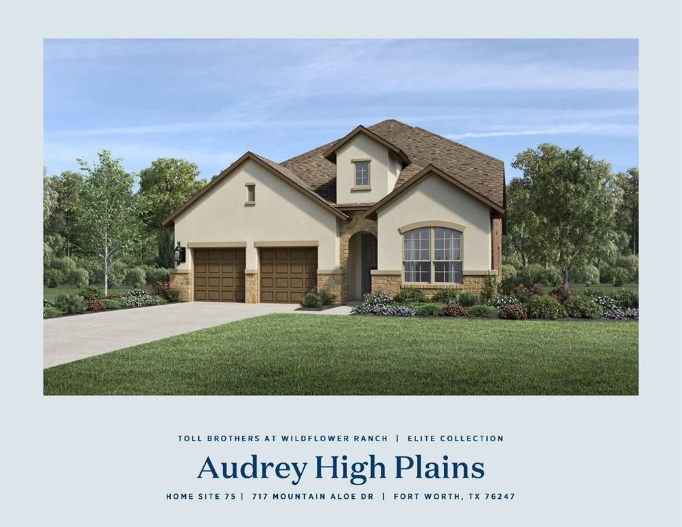 717 Mountain Aloe Drive — photo