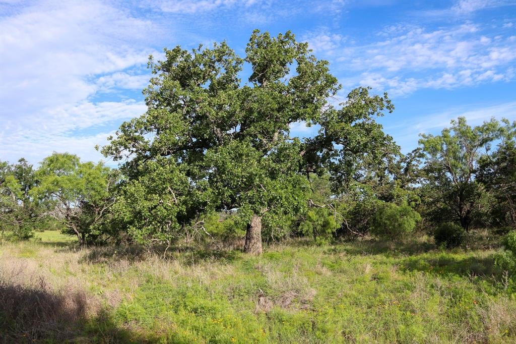 Tbd Oak Ridge Tr — photo