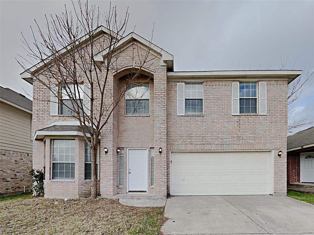 8212 Dynasty — photo