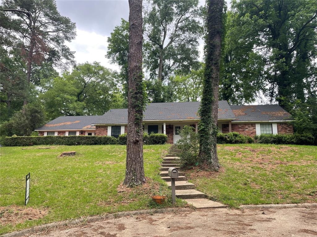 408 Myra — photo