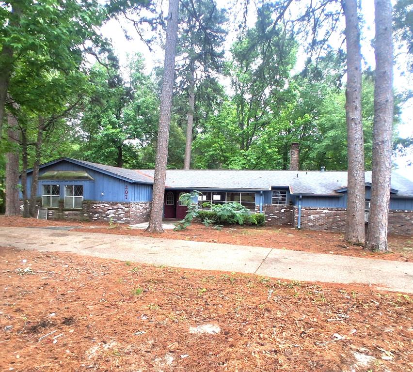 207 Wildwood Drive — photo