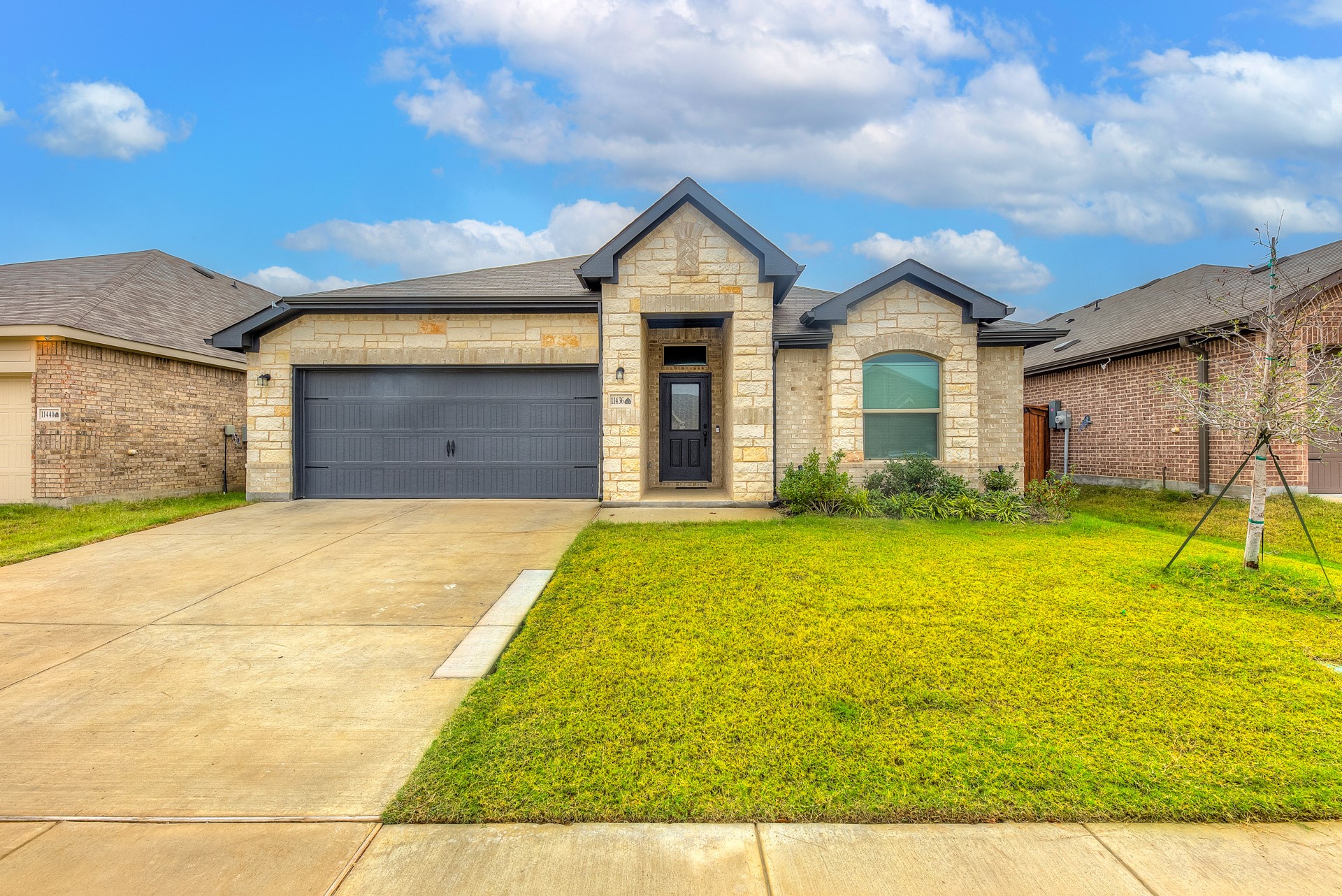 11436 Alpine Springs Drive — photo