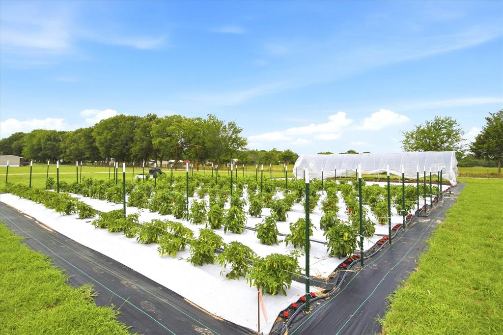 4020 FM 515 — photo