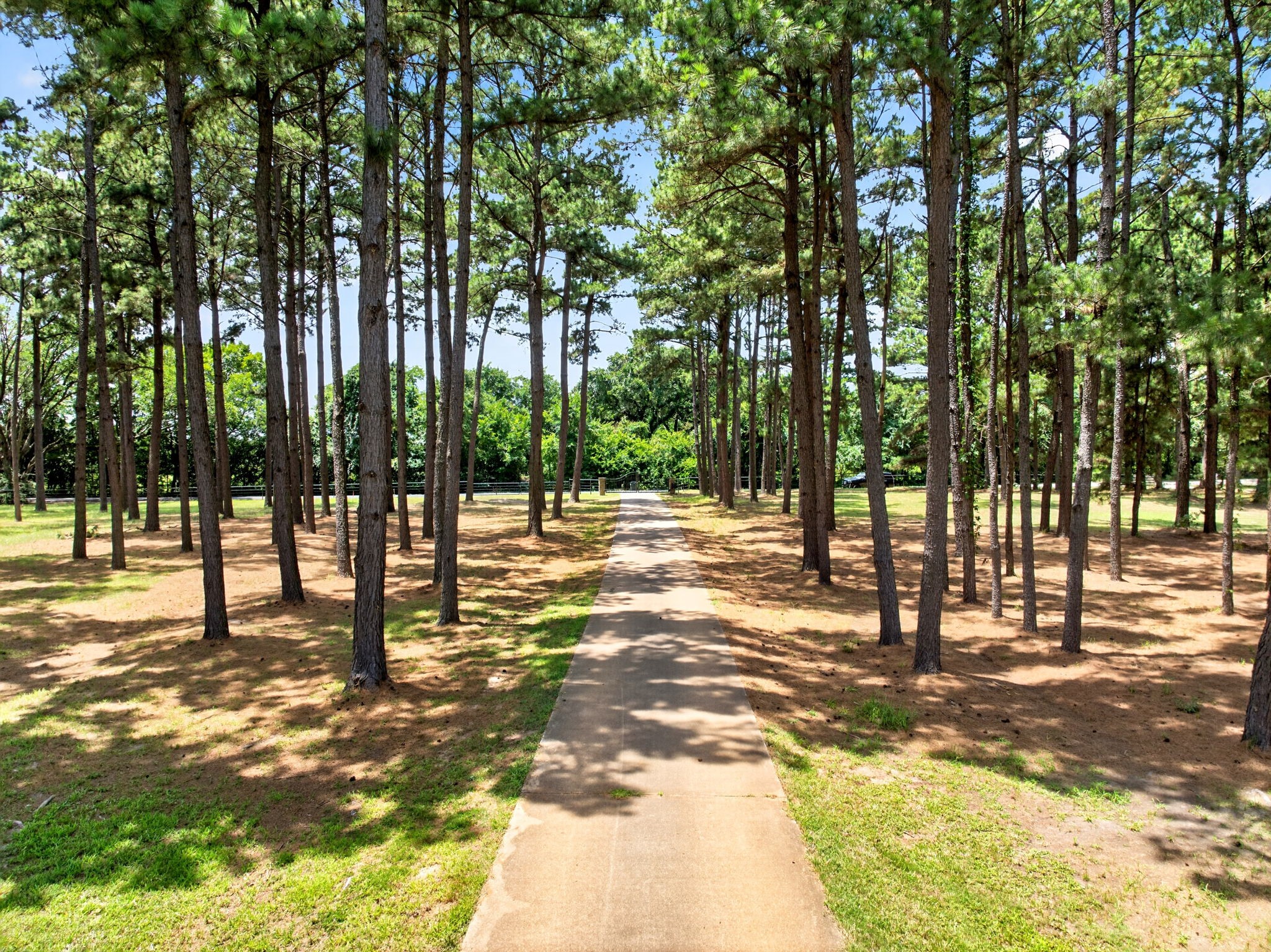 1201 Robbins Road, Athens, TX 75751 — photo 3