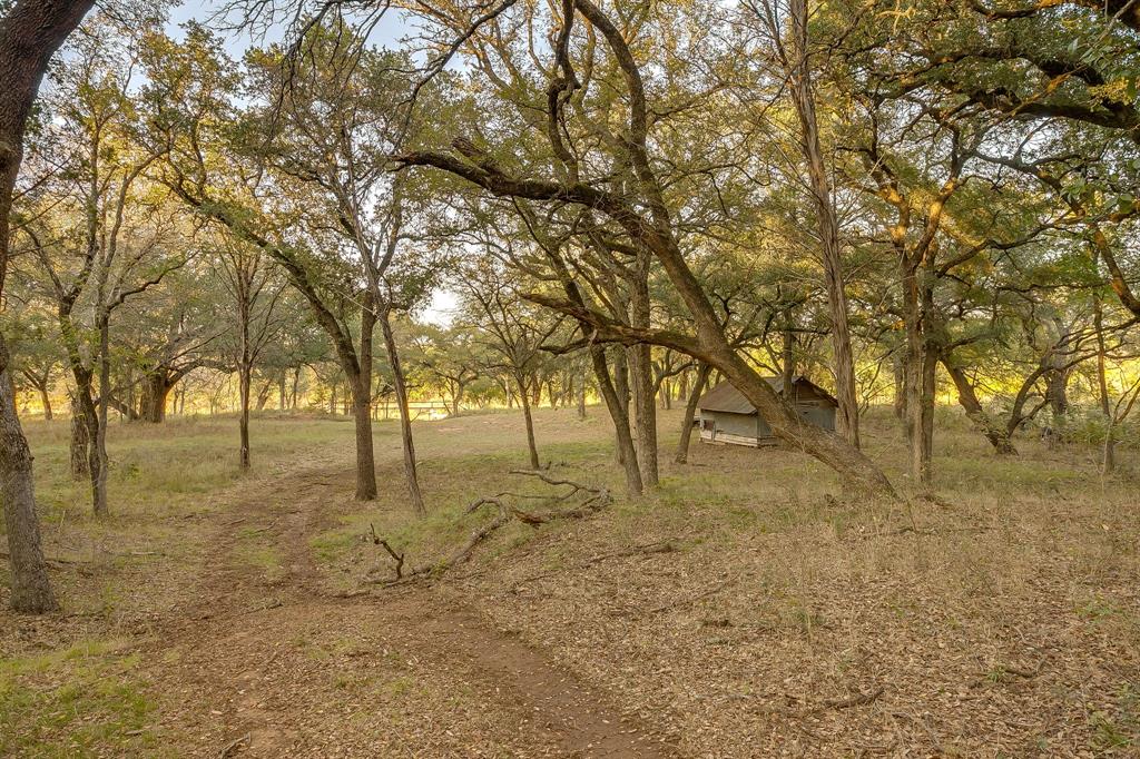 51 Cattle Trail Trail — photo