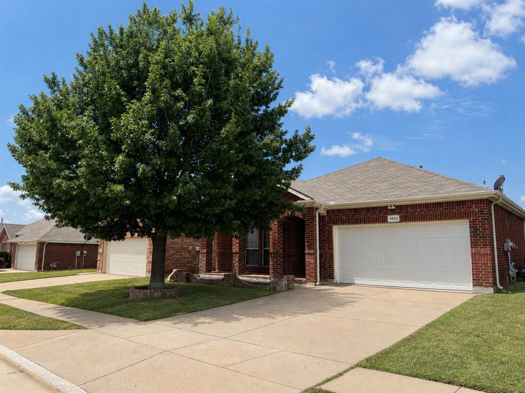 9524 Willow Branch Way — photo