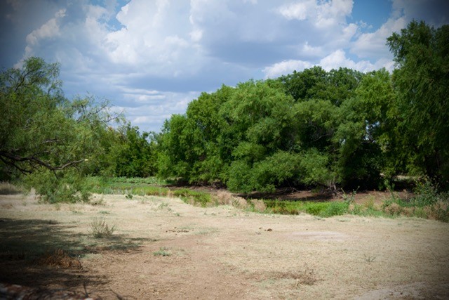345 Butler Loop, Graham, TX 76450 — photo 3
