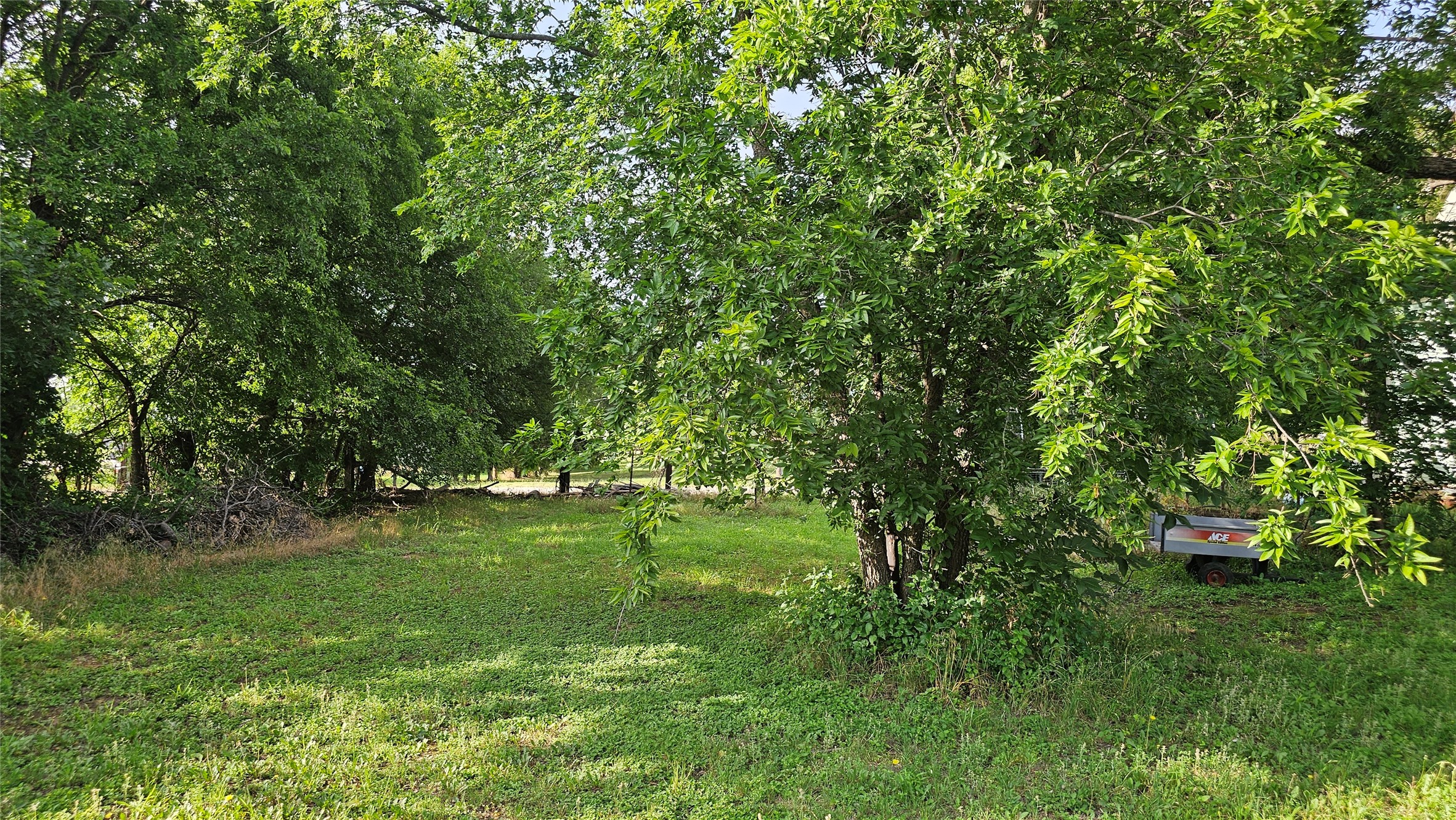 201 E Pecan Street, Mingus, TX 76463 — photo 3