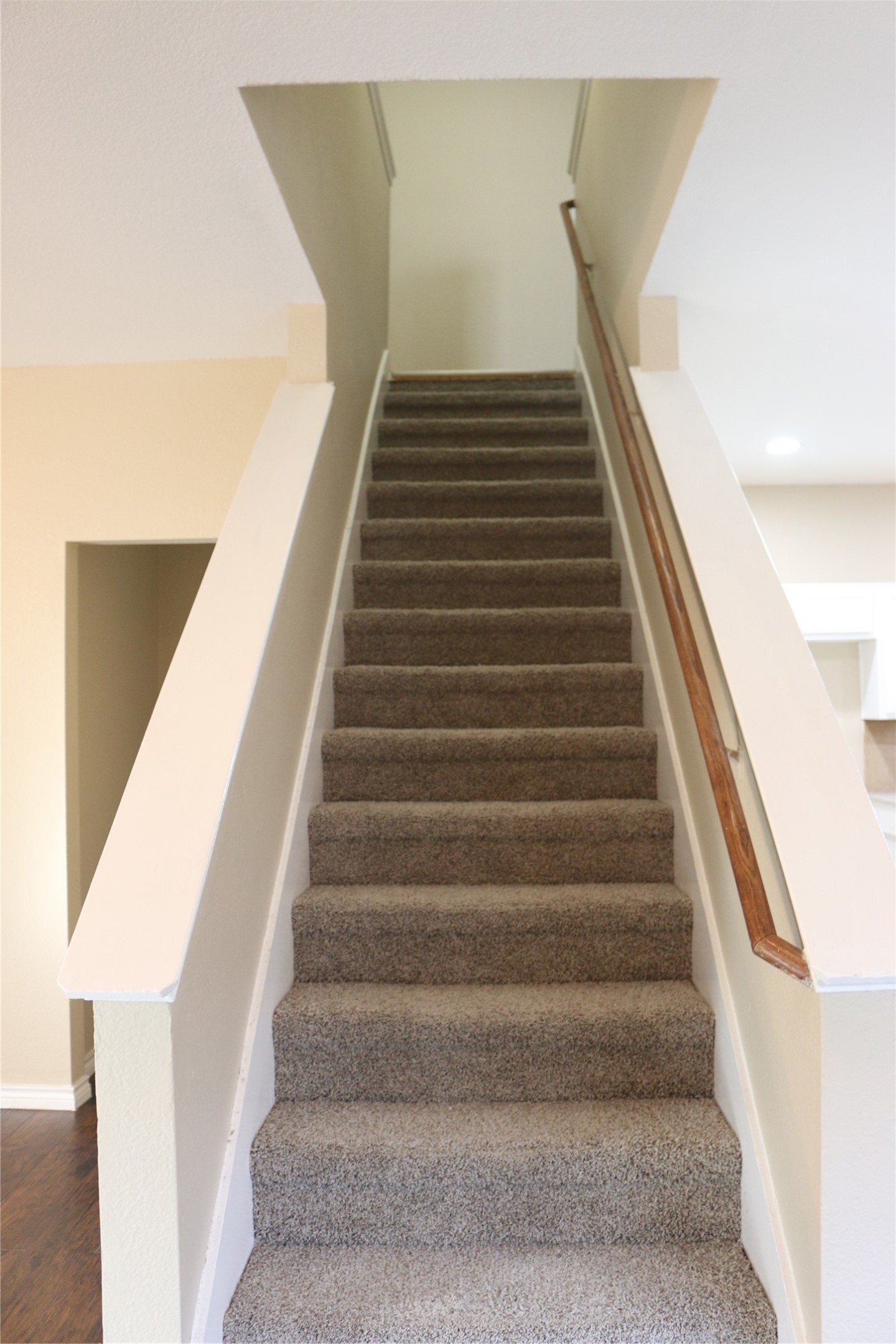 327 Regency Drive, Allen, TX 75002 — photo 3