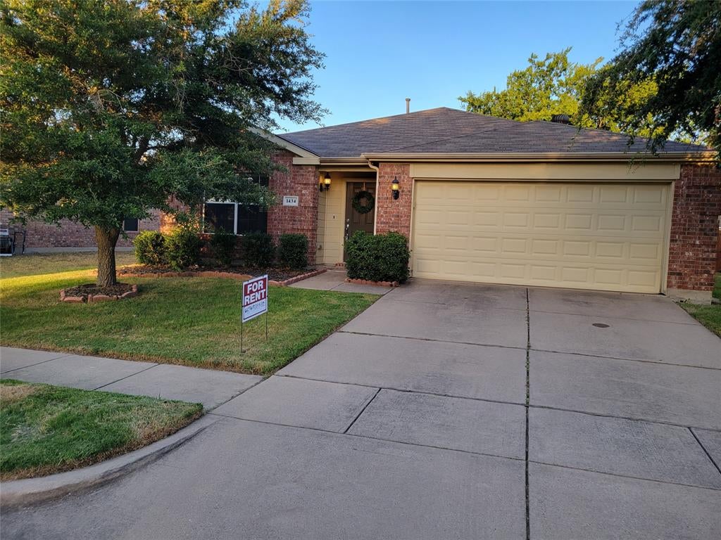 1434 Pintail — photo